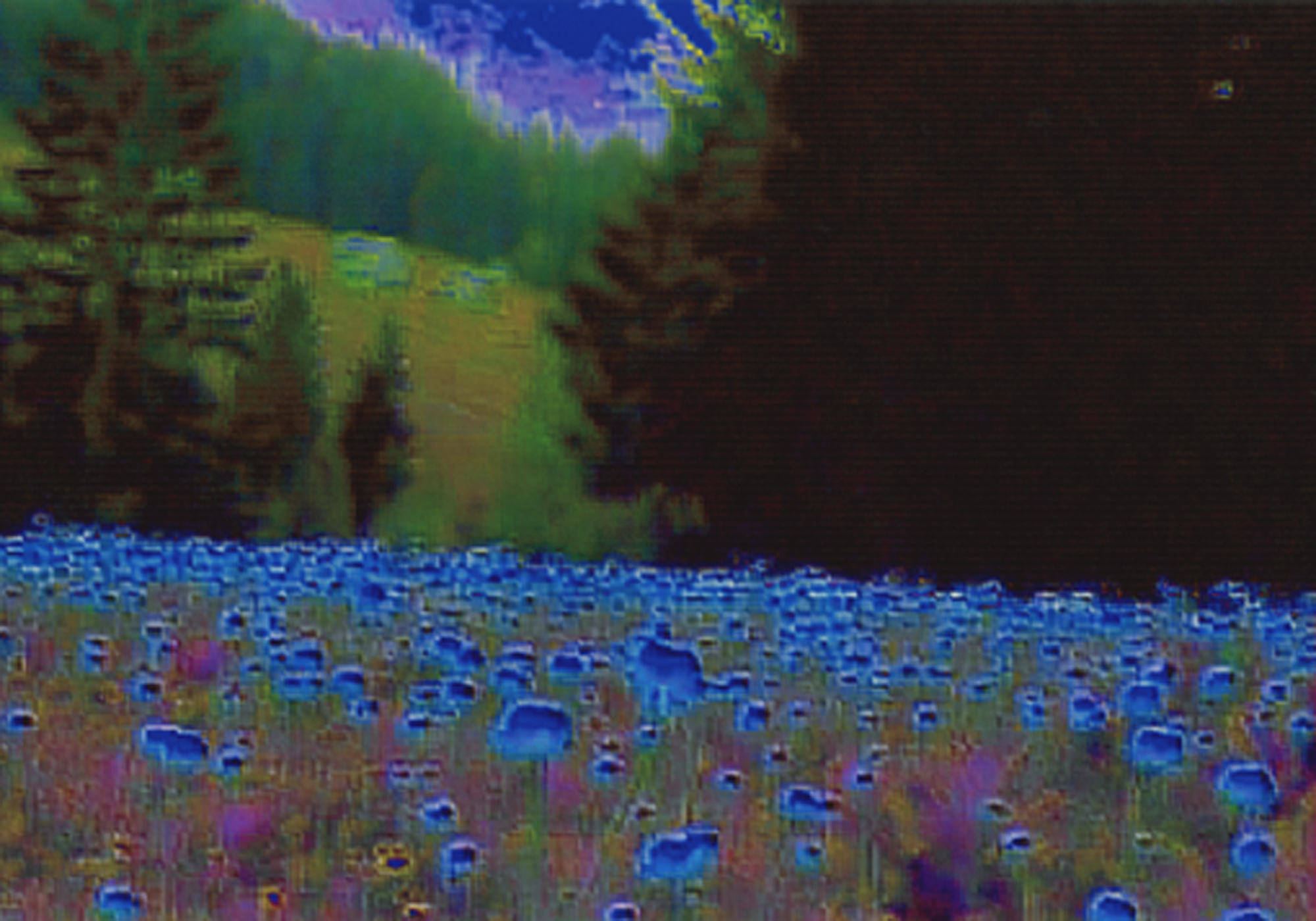 Strba | Collection Pictet