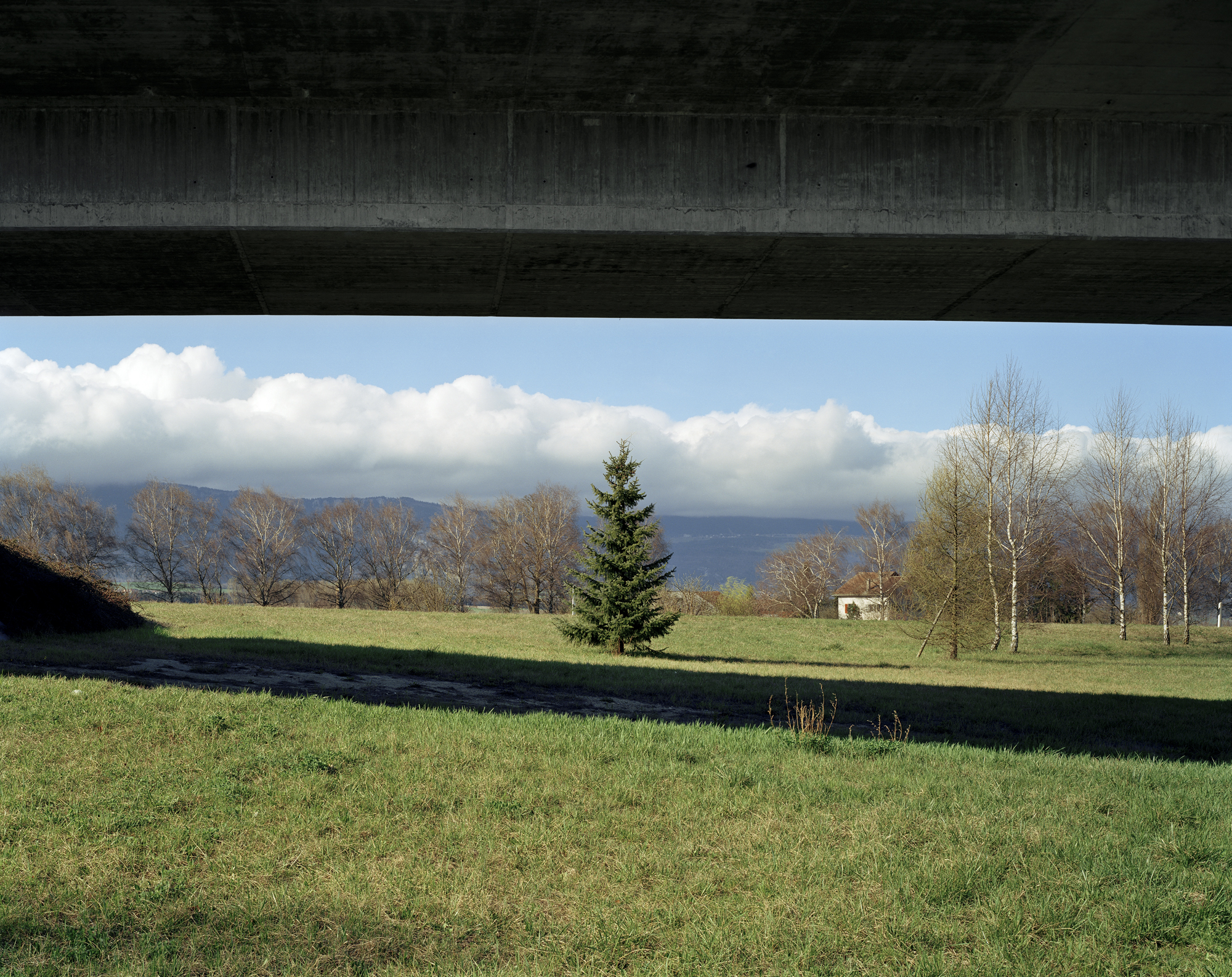 Faure | Collection Pictet
