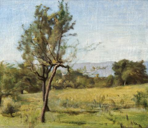 Barthélémy Menn, Paysage avec arbre, s.d.