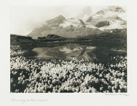 Albert Steiner, Sommertag am Berninapass, Jour d'été au col Bernina, s.d.