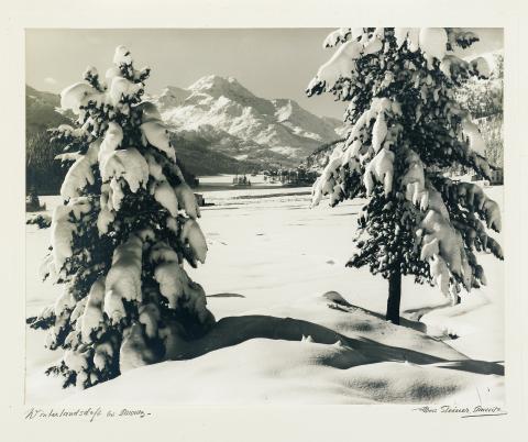 Albert Steiner, Winterlandschaft bei St. Moritz, Paysage hivernal près de Saint-Moritz, s.d.