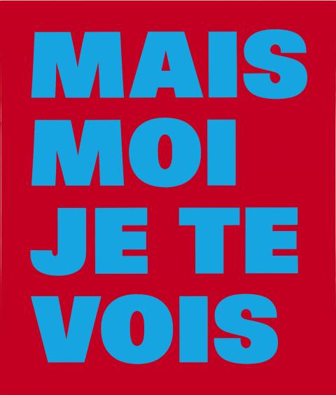 Rémy Zaugg, De la cécité; n° 10 : MAIS MOI JE TE VOIS, 1994-1999/2000-2001