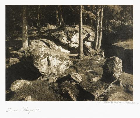 Albert Steiner, Sonne im Bergwald, Soleil dans forêt montagneuse, s.d.