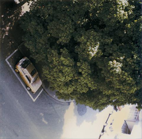 Hannah Villiger, Baum, Arbre, 1984-1985