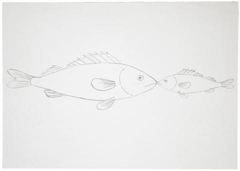 Alain Huck, Deux poissons (Animal Beauty), 2001