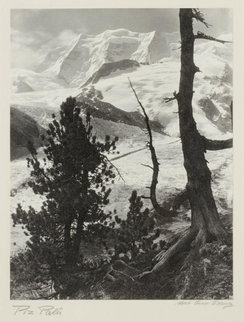 Albert Steiner, Piz Palü, s.d.