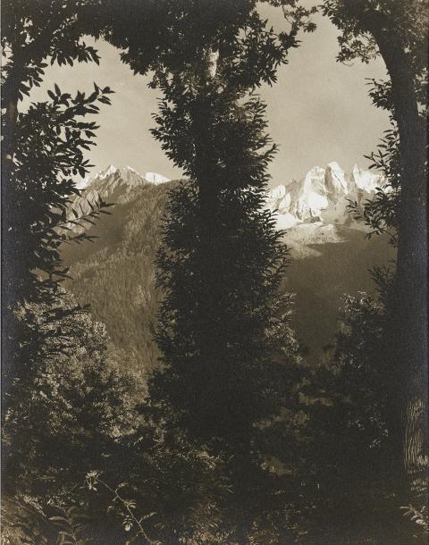 Albert Steiner, Durchblick durch Kastanienbäume, Vue à travers des châtaigniers, s.d.