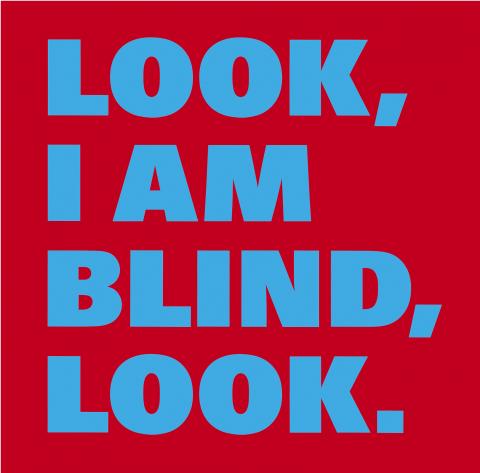 Rémy Zaugg, De la cécité; n° 29 : LOOK, I AM BLIND, LOOK, 1998-1999
