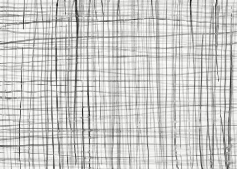 Silvia Bächli, Sans titre, 2006