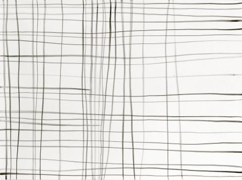 Silvia Bächli, Linien 26, Lignes 26, 2006