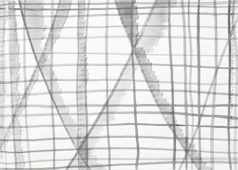 Silvia Bächli, Sans titre, 2005