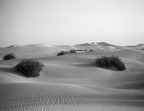 Shirana Shahbazi, [DeathValley-01-2008], 2008