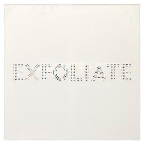 Sylvie Fleury, Exfoliate, 2000