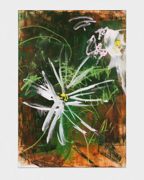 David Hominal, Cosmos dans le vent, 2023