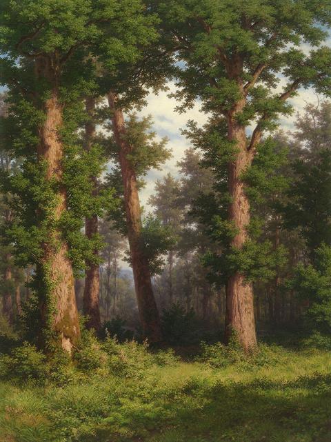 Robert Zünd, Eichenwald, Forest of oaks, s.d.