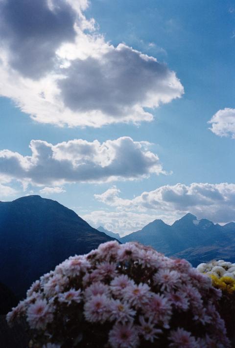 Walter Pfeiffer, Untitled, 2013/2024