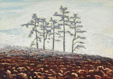 Jean-Frédéric Schnyder, Taubrüti, 1989