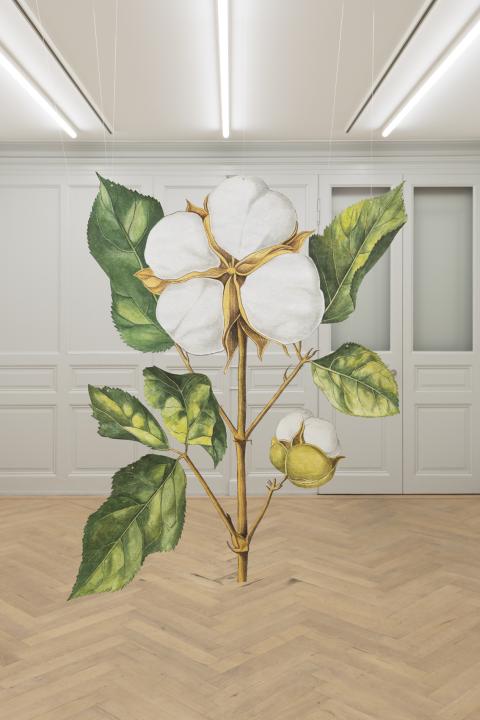 Ishita Chakraborty, Where the Wild Things Roam VII, Shimul/Cotton, 2025