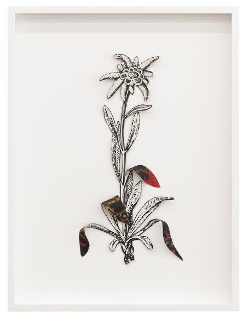 Ishita Chakraborty, Where the Wild Things Roam III, 2025