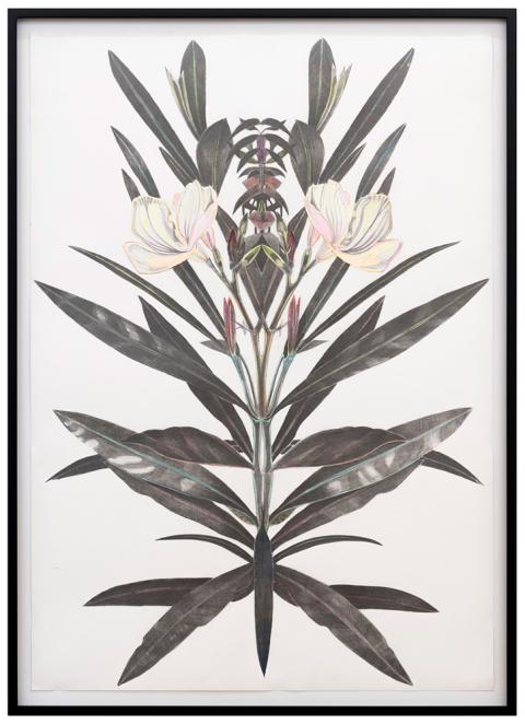 Marc Bauer, Flower, 2022