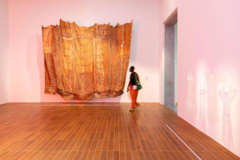 Artwork by Heidi Bucher