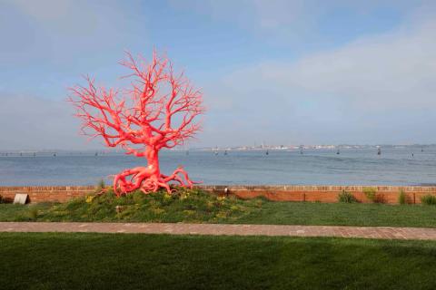 Œuvre de Pamela Rosenkranz