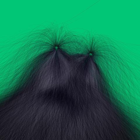 Michel Huelin, Grassbug 12, 2022