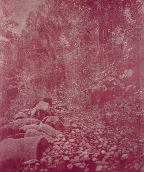 œuvre de Franz Gertsch