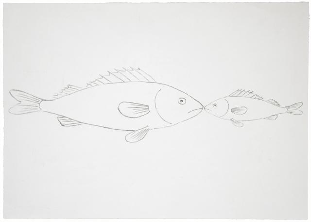 Alain Huck, Deux poissons (Animal Beauty), 2001