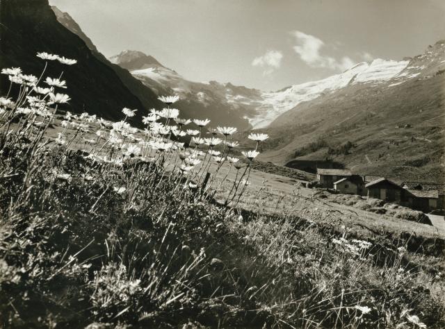 Albert Steiner, Sommertag im Fextal, Oberengadin, s.d.