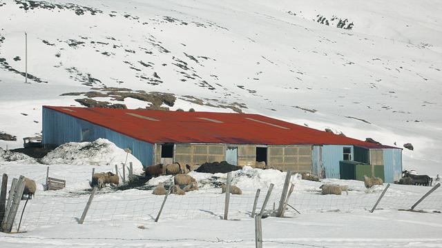 Silvia/Eric Bächli/Hattan, Blindhaedir - East Iceland, 2008