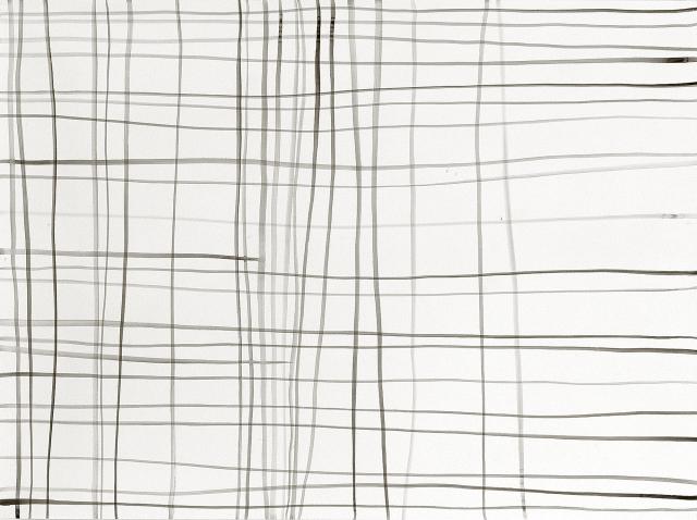 Silvia Bächli, Linien 26, Lignes 26, 2006