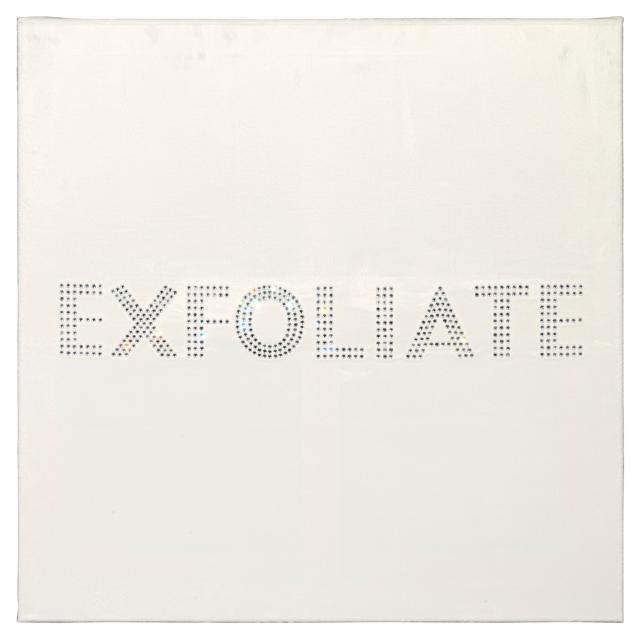 Sylvie Fleury, Exfoliate, 2000