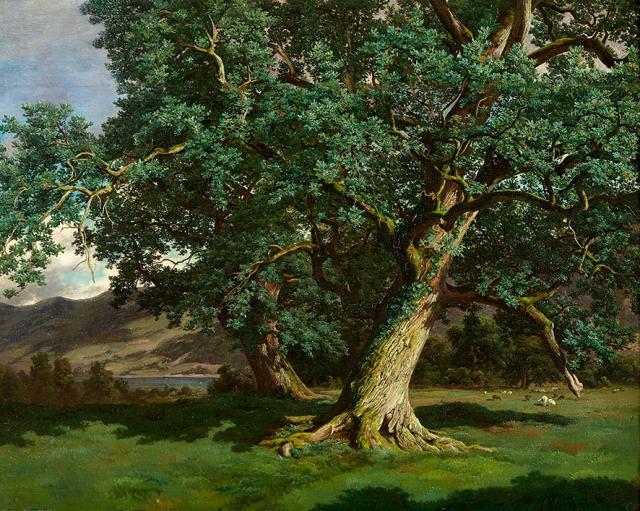 Robert Zünd, Grosse Eichen am Seeufer, Large Oaks on the Lake Shore, s.d.