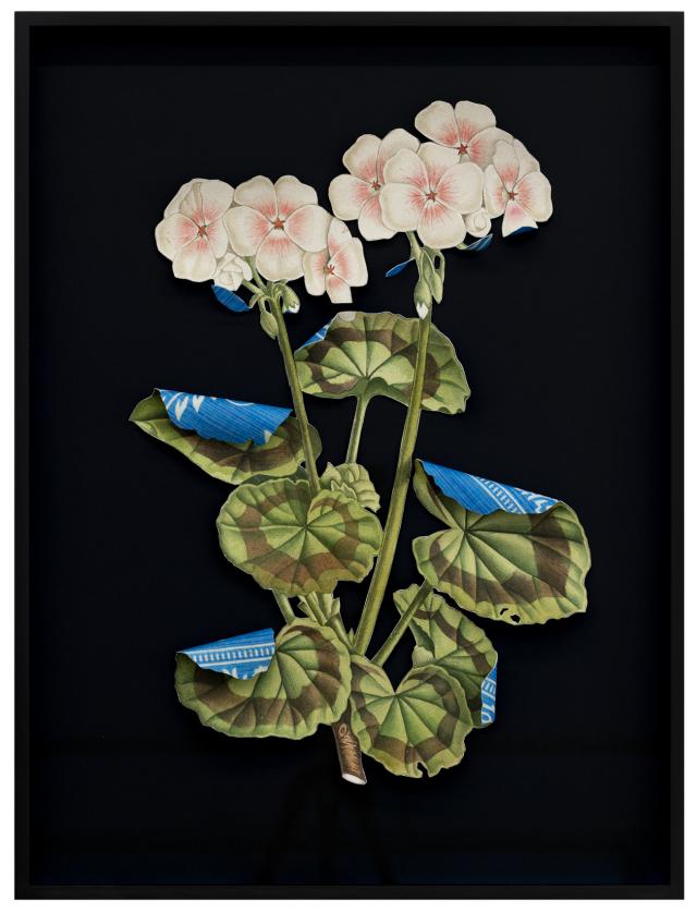 Ishita Chakraborty, Where the Wild Things Roam II, 2025