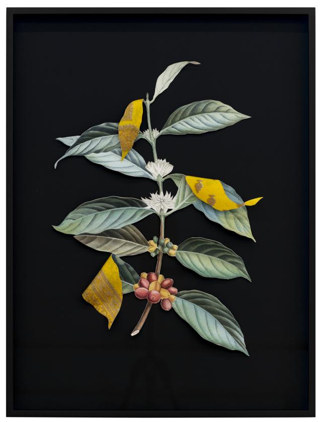 Ishita Chakraborty, Where the Wild Things Roam I, 2025