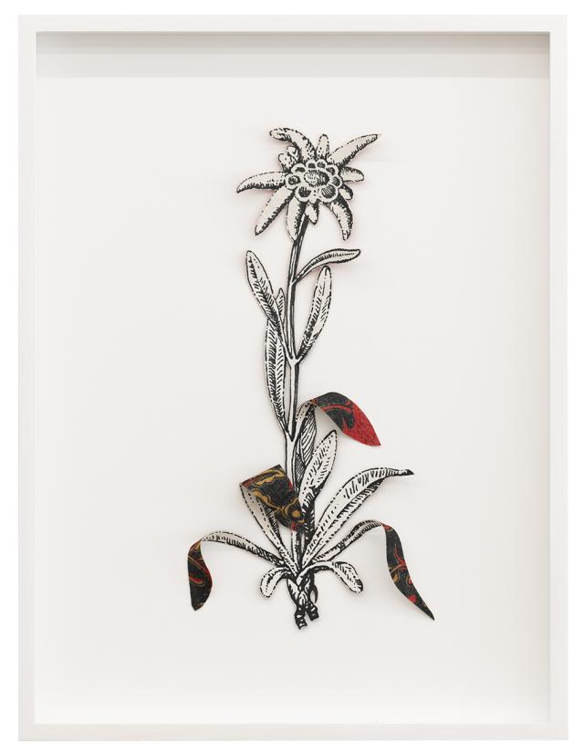 Ishita Chakraborty, Where the Wild Things Roam III, 2025