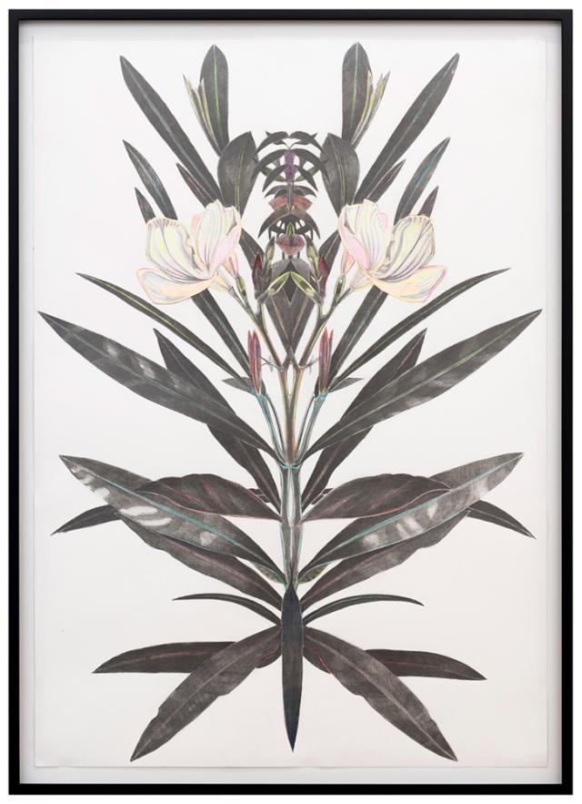 Marc Bauer, Flower, 2022