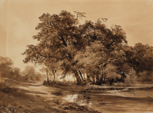 calame troncs d'arbres coupés