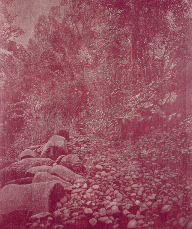 œuvre de Franz Gertsch