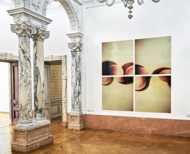 exhibition view