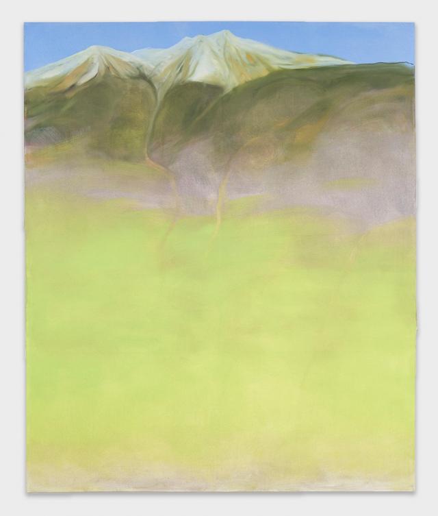 miriam cahn