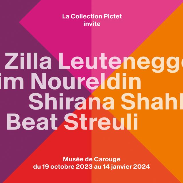 affiche expo carouge